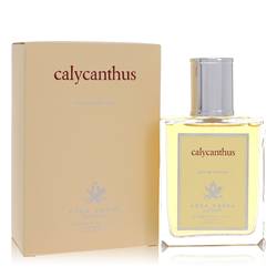 Eau de parfum en vaporisateur Calycanthus par Acca Kappa